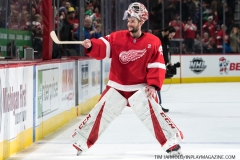 Red Wings vs Islanders March 16 2019 (18)