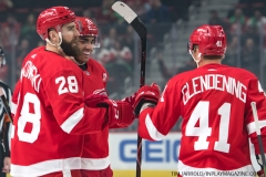 Red Wings vs Islanders March 16 2019 (21)