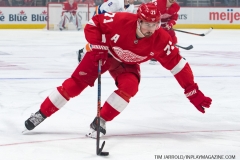 Red Wings vs Islanders March 16 2019 (23)