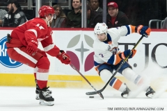 Red Wings vs Islanders March 16 2019 (5)