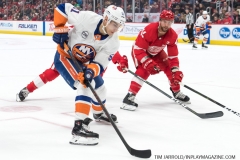 Red Wings vs Islanders March 16 2019 (60)