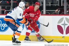 Red Wings vs Islanders March 16 2019 (7)
