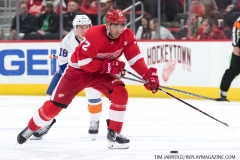 Red Wings vs Islanders March 16 2019 (9)