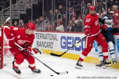 Jets-vs-Red-Wings-December-12-2019-15