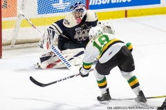London-Knights-at-Windsor-Spitfires-January-23-2020-24