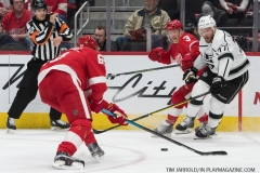 Red Wings vs Kings 12-10-2018 (15)
