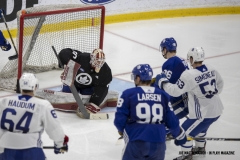 Maple-Leafs-Development-Camp-2019-12