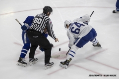 Maple-Leafs-Development-Camp-2019-13