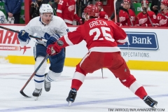 Wings vs Leafs Feb 1 2019 (1)