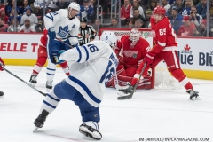 Wings vs Leafs Feb 1 2019 (10)