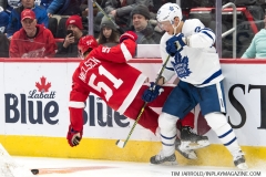 Wings vs Leafs Feb 1 2019 (12)