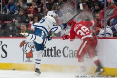 Wings vs Leafs Feb 1 2019 (13)