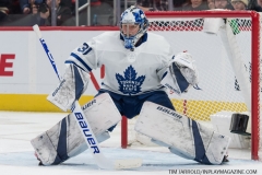 Wings vs Leafs Feb 1 2019 (14)