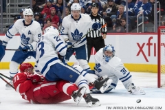Wings vs Leafs Feb 1 2019 (15)