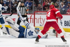 Wings vs Leafs Feb 1 2019 (16)