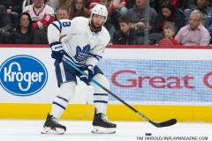 Wings vs Leafs Feb 1 2019 (19)