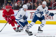 Wings vs Leafs Feb 1 2019 (2)