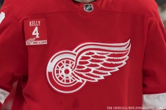 Wings vs Leafs Feb 1 2019 (20)