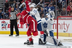 Wings vs Leafs Feb 1 2019 (21)