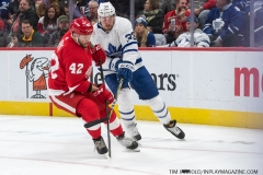 Wings vs Leafs Feb 1 2019 (22)