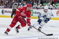 Wings vs Leafs Feb 1 2019 (26)