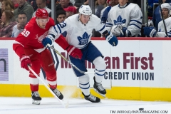 Wings vs Leafs Feb 1 2019 (3)