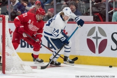 Wings vs Leafs Feb 1 2019 (34)