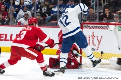 Wings vs Leafs Feb 1 2019 (40)