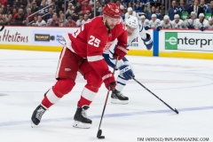Wings vs Leafs Feb 1 2019 (48)