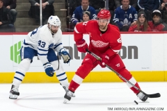 Wings vs Leafs Feb 1 2019 (49)