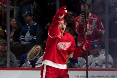 Wings vs Leafs Feb 1 2019 (52)