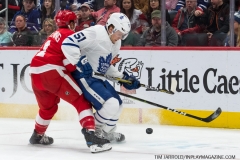 Wings vs Leafs Feb 1 2019 (6)