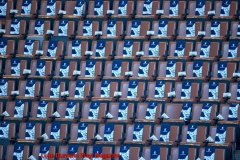 Toronto Maple Leafs 2019 Home Opener vs Ottawa Senators - Every fan got a Maple Leaf Scarf