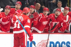 Leafs-vs-Red-Wings-October-12-2019-20