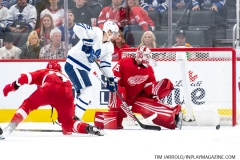 Leafs-vs-Red-Wings-October-12-2019-26