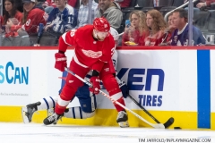 Leafs-vs-Red-Wings-October-12-2019-31