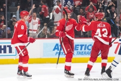 Leafs-vs-Red-Wings-October-12-2019-5