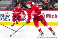 Leafs-vs-Red-Wings-Sept-27-2019-31