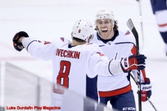 Maple Leafs vs Capitals Feb 21 2019 (18)
