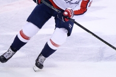 Maple Leafs vs Capitals Feb 21 2019 (3)