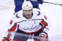 Maple Leafs vs Capitals Feb 21 2019 (9)
