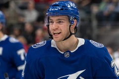 Red Wings vs Lightning March 14 2019 (20)