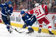 Red Wings vs Lightning March 14 2019 (25)