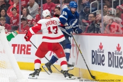 Red Wings vs Lightning March 14 2019 (27)