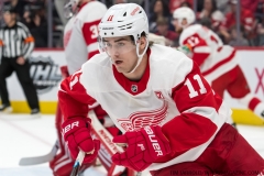 Red Wings vs Lightning March 14 2019 (30)