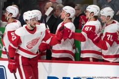 Red Wings vs Lightning March 14 2019 (31)