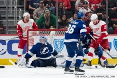 Red Wings vs Lightning March 14 2019 (32)