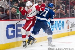 Red Wings vs Lightning March 14 2019 (39)