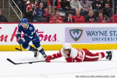 Red Wings vs Lightning March 14 2019 (40)