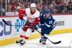 Red Wings vs Lightning March 14 2019 (41)